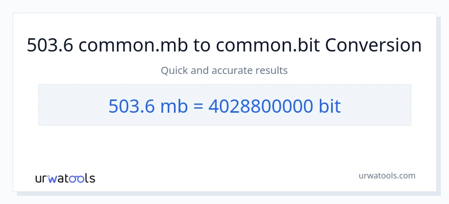 503.6 Megabytes patungong Bits na conversion