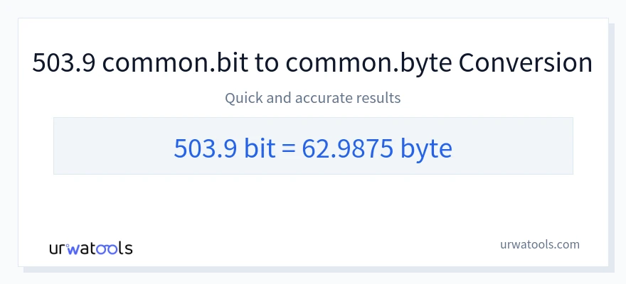 503.9 Bits 到 Bytes 轉換