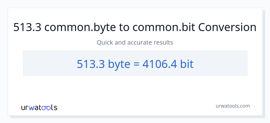 513.3 Bytes til Bits konvertering