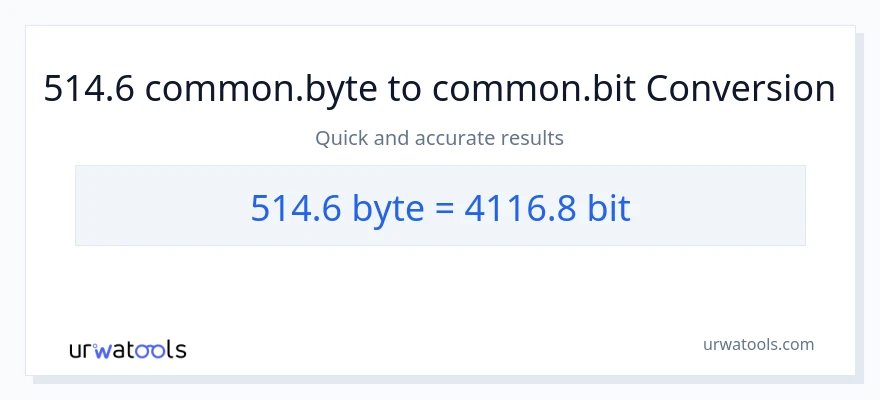 514.6 Bytes patungong Bits na conversion