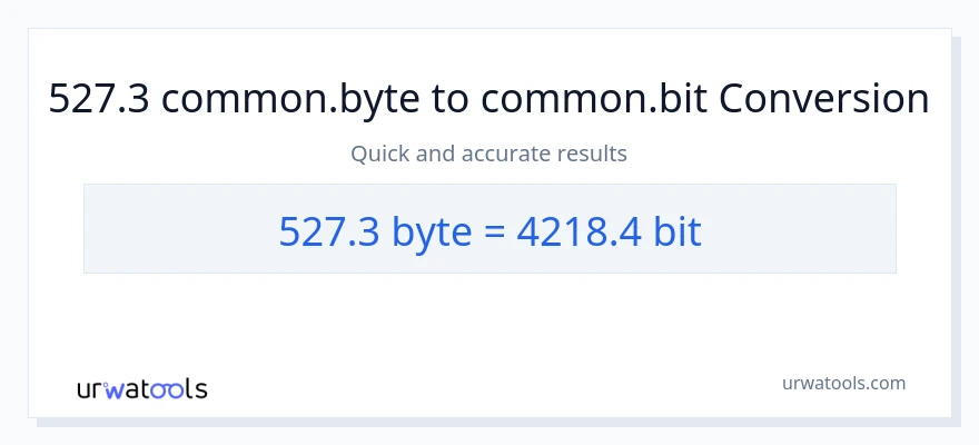 527.3 Bytes patungong Bits na conversion
