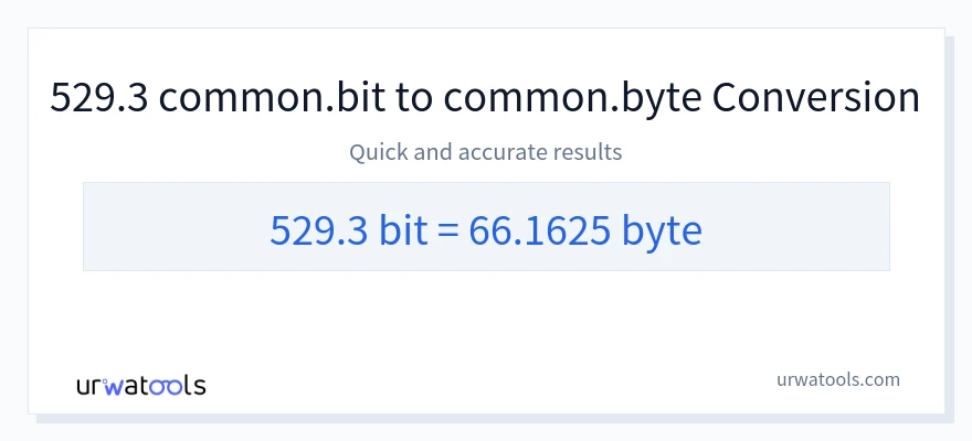 529.3 Bits 到 Bytes 轉換