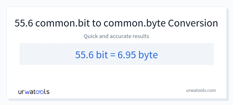 55.6 Bits 到 Bytes 轉換