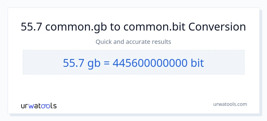 55.7 Gigabytes patungong Bits na conversion