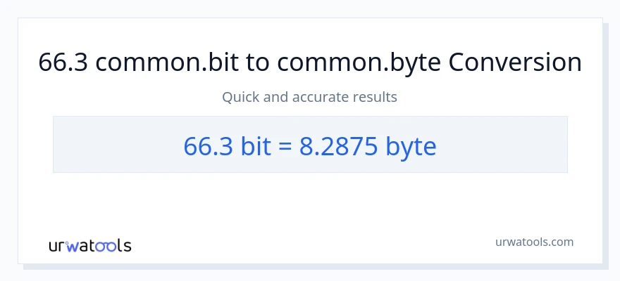 66.3 Bits patungong Bytes na conversion