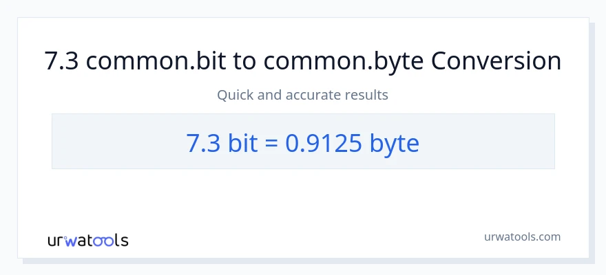 Conversion 7.3 Bits vers Bytes