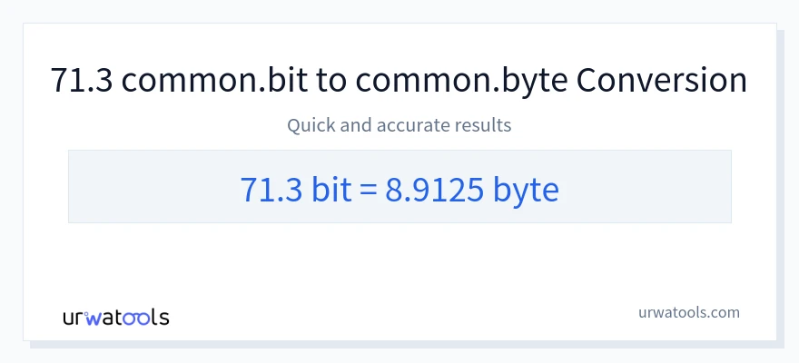 71.3 Bits 到 Bytes 轉換