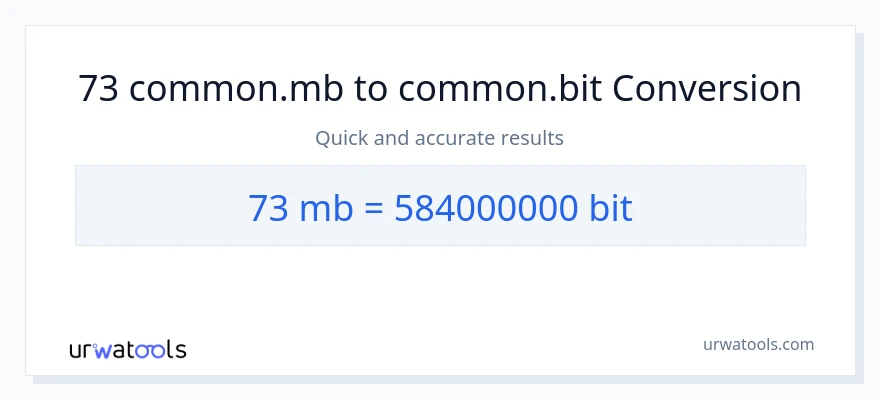 73 Megabytes patungong Bits na conversion