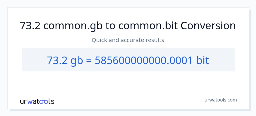 73.2 Gigabytes til Bits konvertering