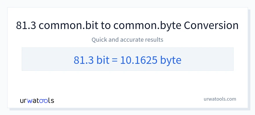 81.3 Bits 到 Bytes 轉換