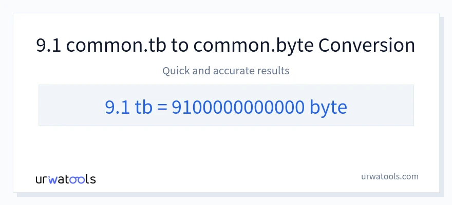 9.1 Terabytes 到 Bytes 轉換