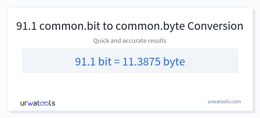 91.1 Bits 到 Bytes 轉換